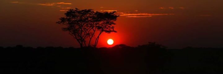pcatarro's profile banner image