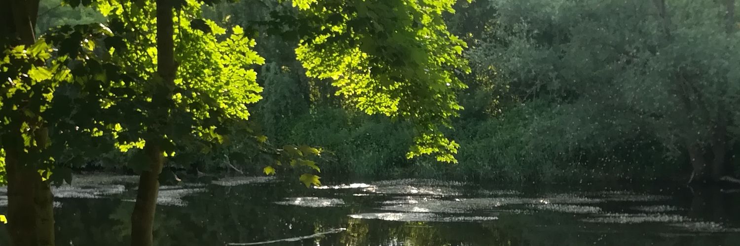 ferrith's profile banner image