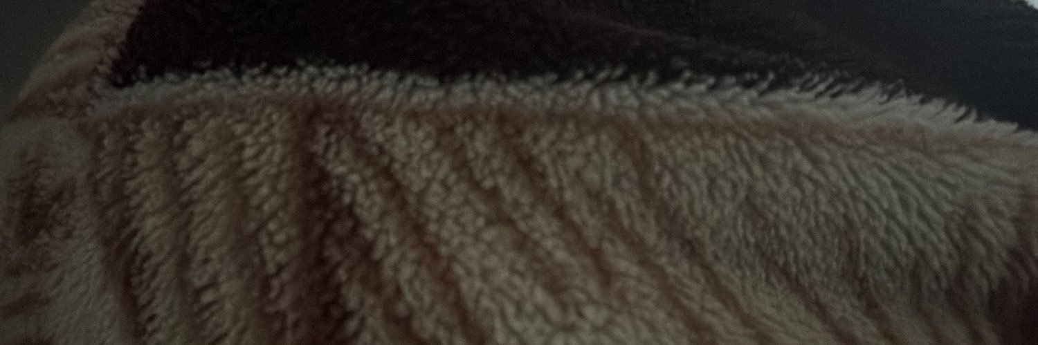 AnikaSrma's profile banner image