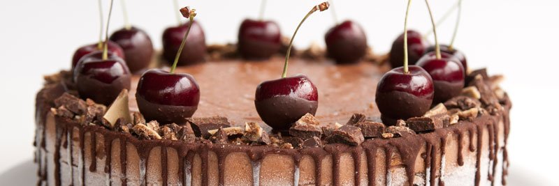 MagicMayan Chocolate banner
