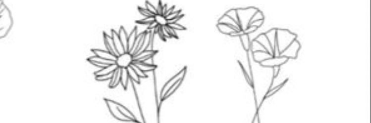 Moralesneida1's profile banner image