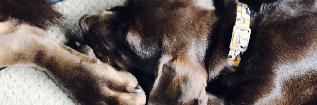jensbethG's profile banner image