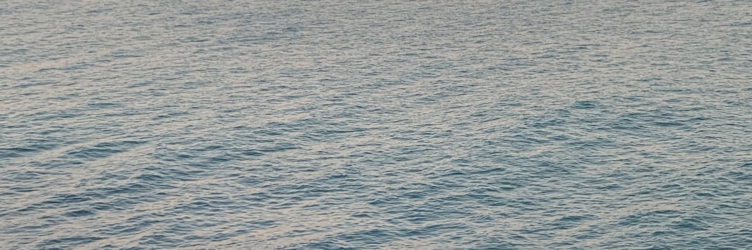nereasorando's profile banner image