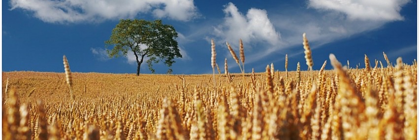EatRightND's profile banner image