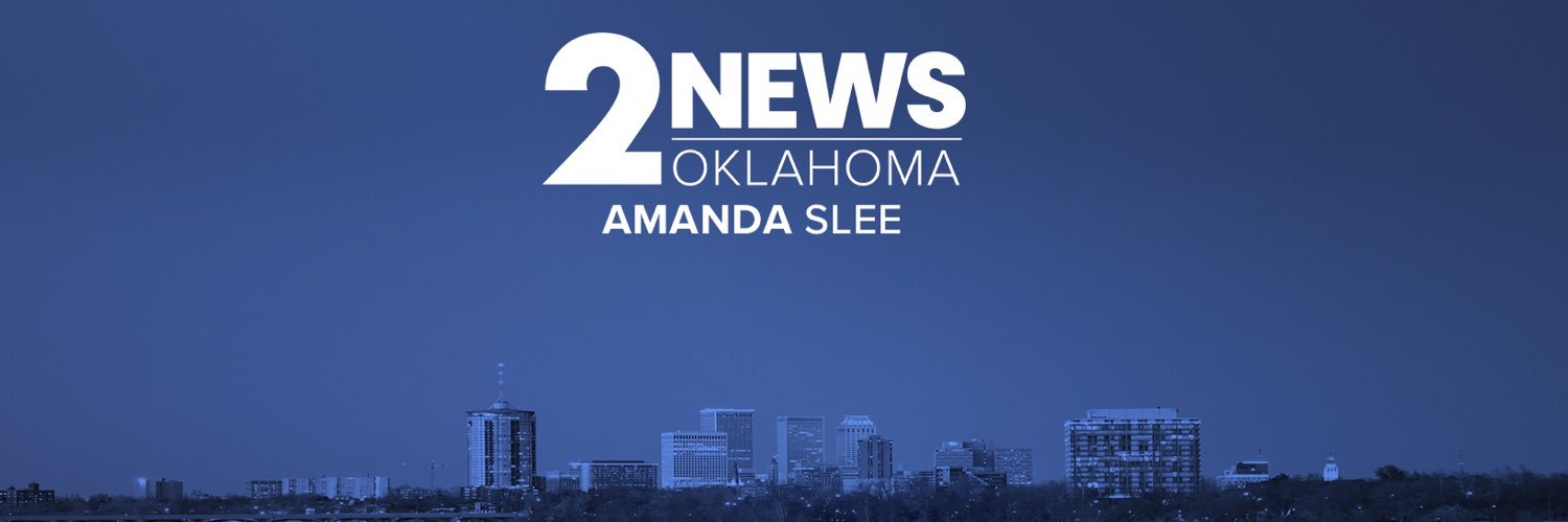 _anslee's profile banner image