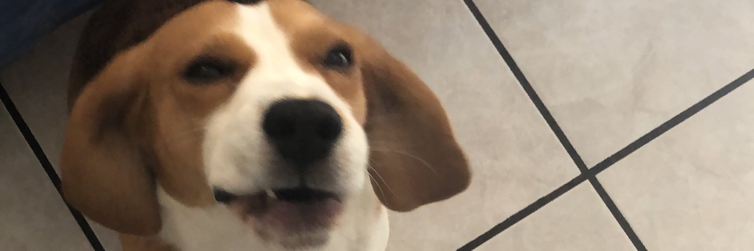 Carlos Iraheta banner