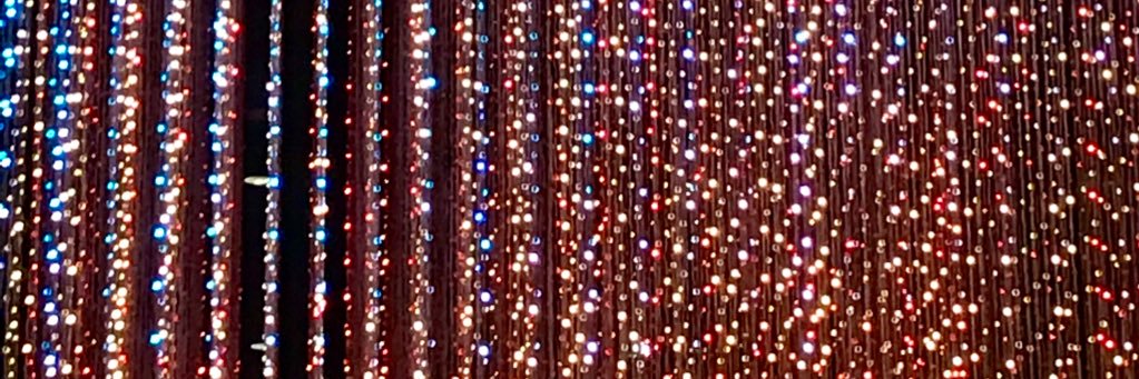 Meghan Dove banner
