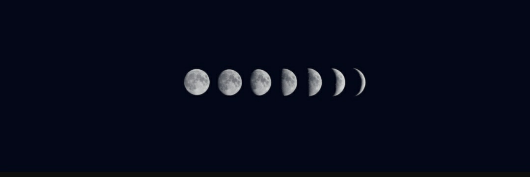 porragiseli's profile banner image
