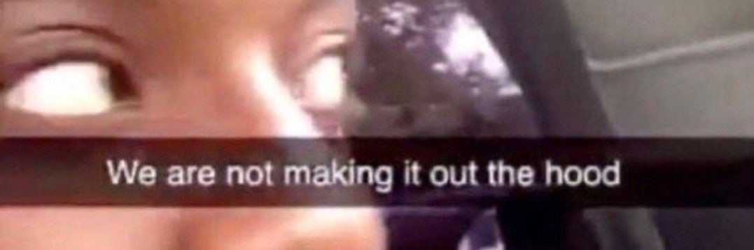 the purpose of a system is what it does banner