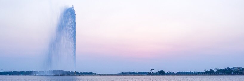 ابو دانه banner