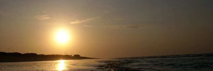 tecnicazorro's profile banner image