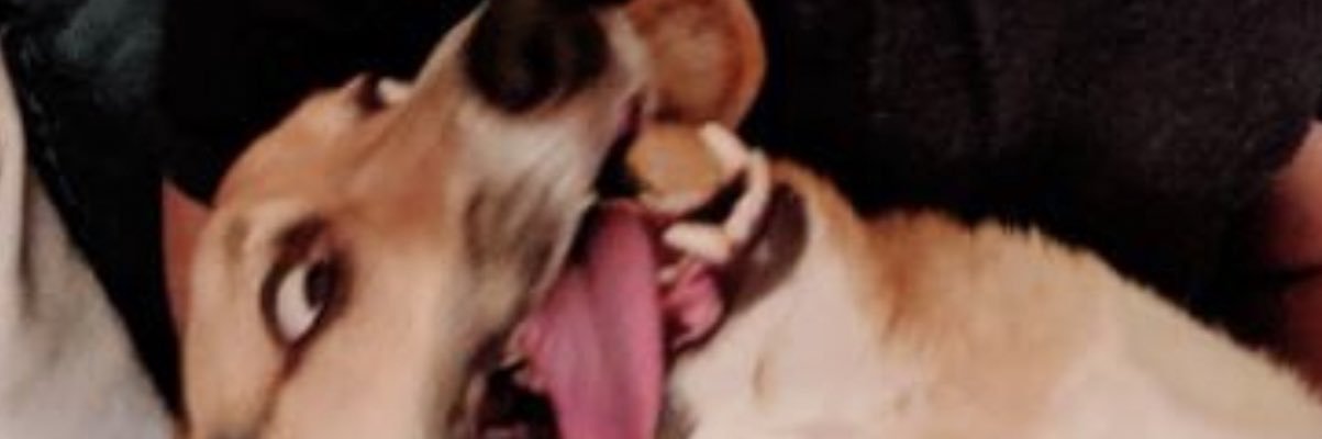 Jefafa_'s profile banner image