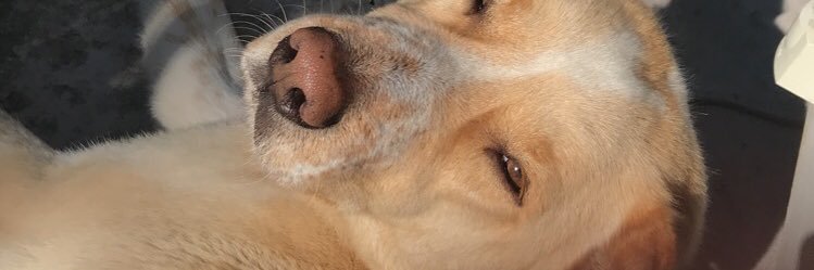 black_maddi's profile banner image