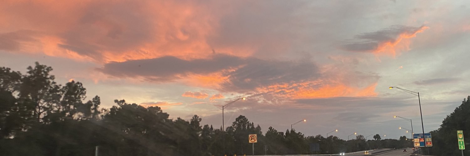 karinahhs's profile banner image