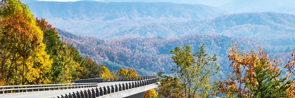 Lamar Alexander banner