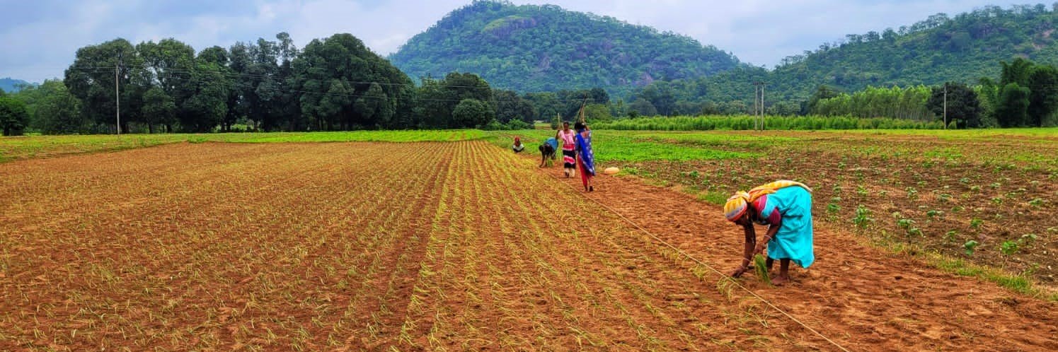 nirmanodisha's profile banner image