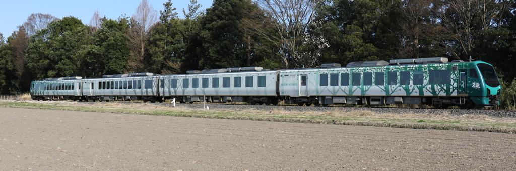 かりん🇺🇦株式系アカウント banner