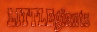 theLITTLEgiants's profile banner image