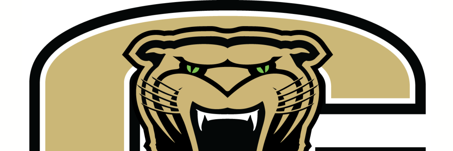 Cullman Volleyball banner