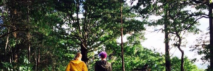 OreoPhan's profile banner image