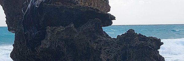 iamviveksri Profile Banner