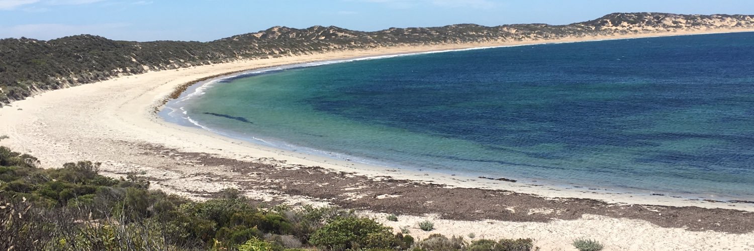 Tasman Fitzgerald banner