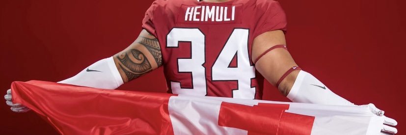 Houston Heimuli banner