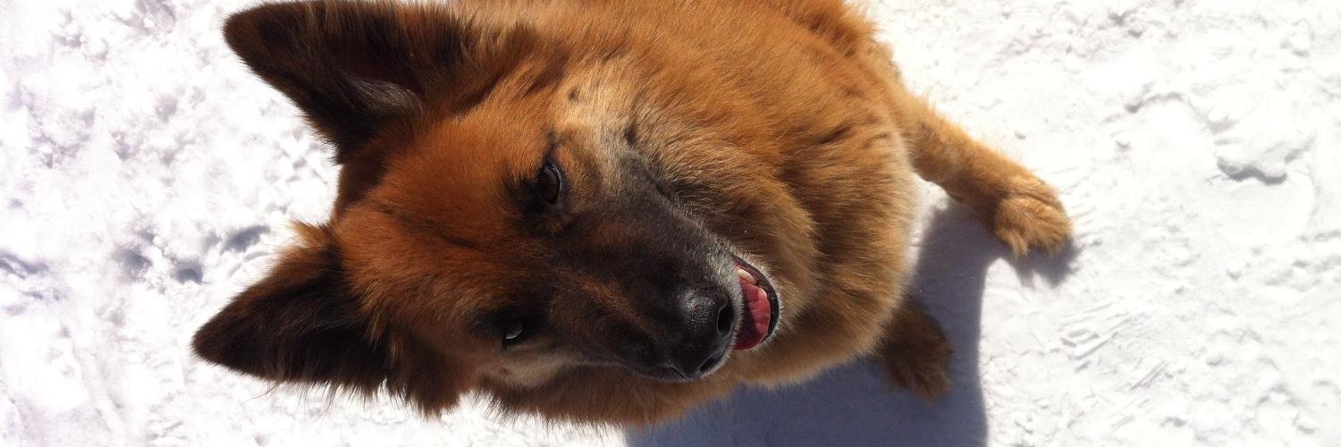 heyberni's profile banner image
