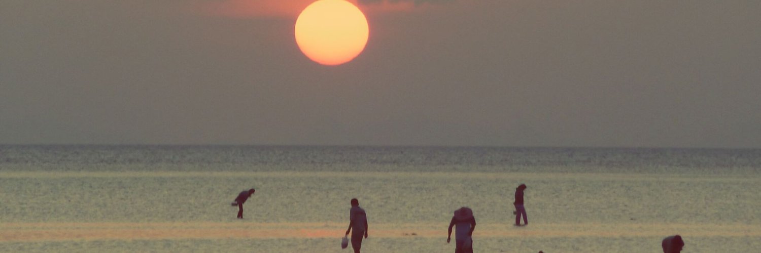 Patr1ceAlbert's profile banner image