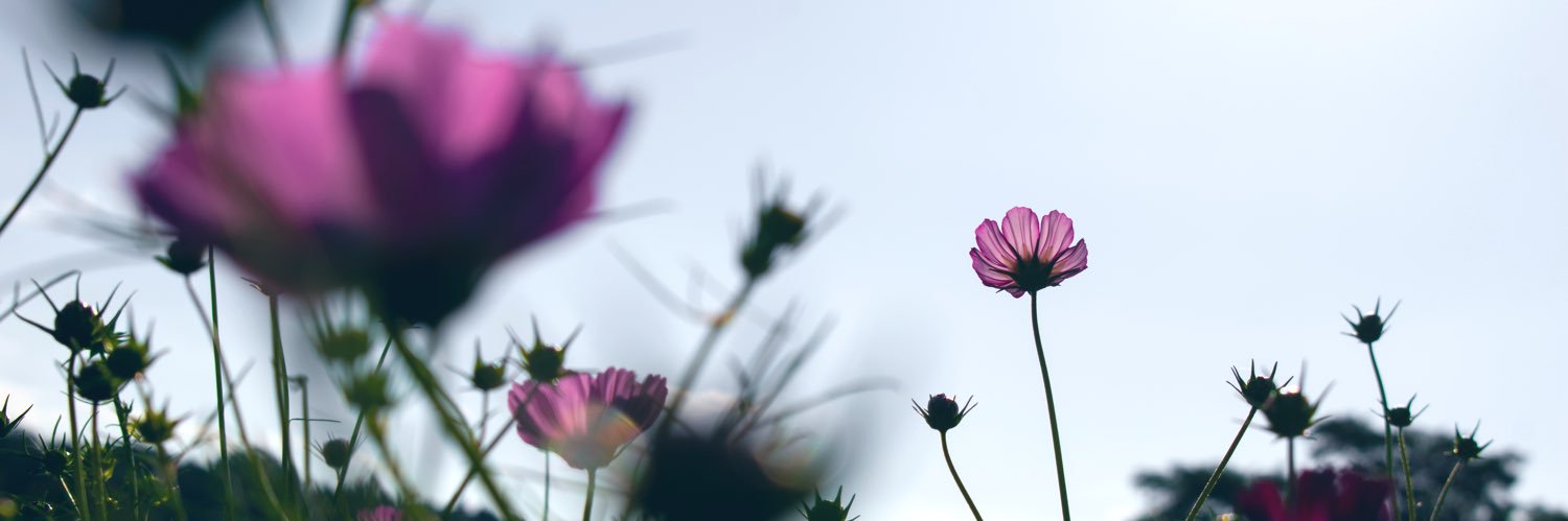 ゆきの banner