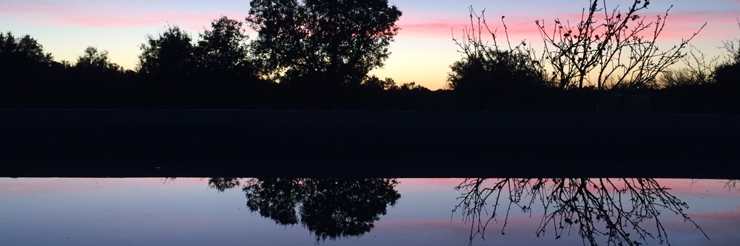lupedb2's profile banner image