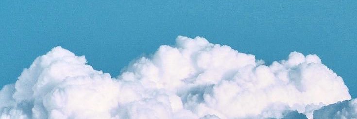 arizona banner