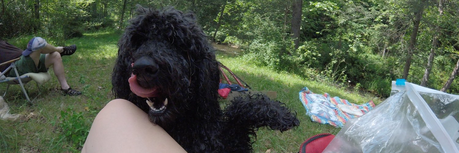 gretchen_2016's profile banner image