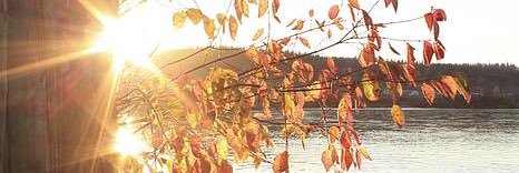 22nana_'s profile banner image
