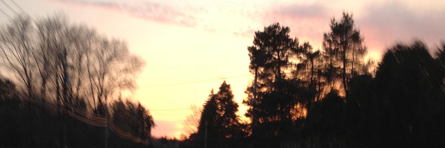 faugustine86's profile banner image
