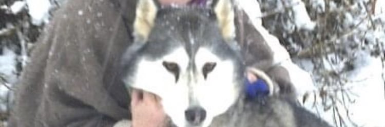 BollingerCarol's profile banner image