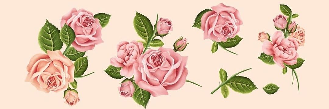EliTestori_'s profile banner image