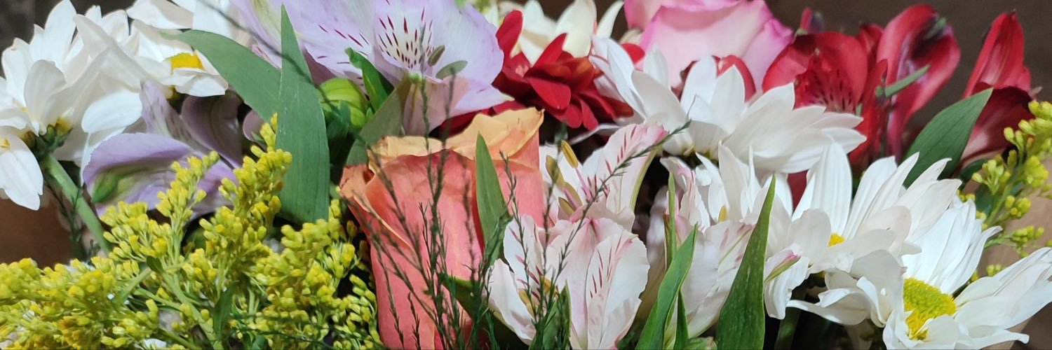 AstridBaezInsa's profile banner image