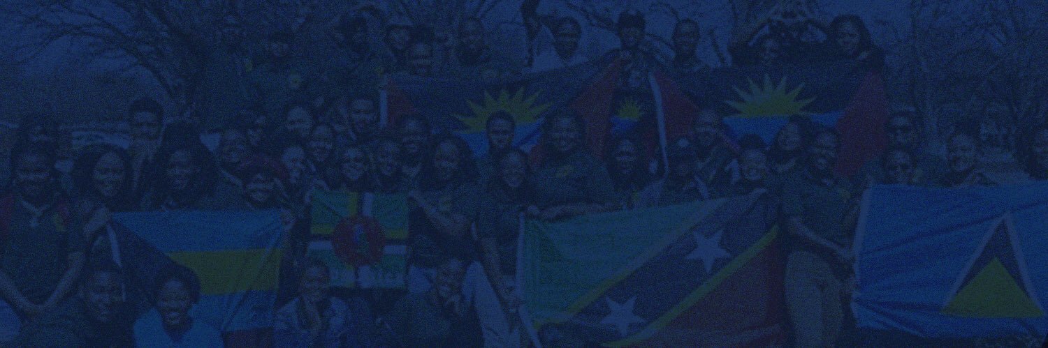 msutexas_cso's profile banner image