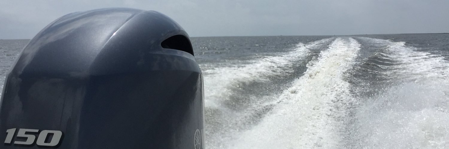 goldend55's profile banner image