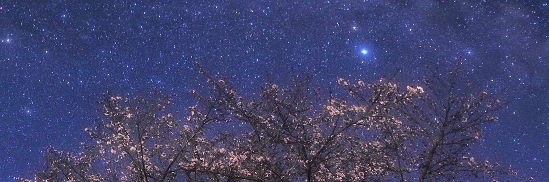 SunSunS501's profile banner image