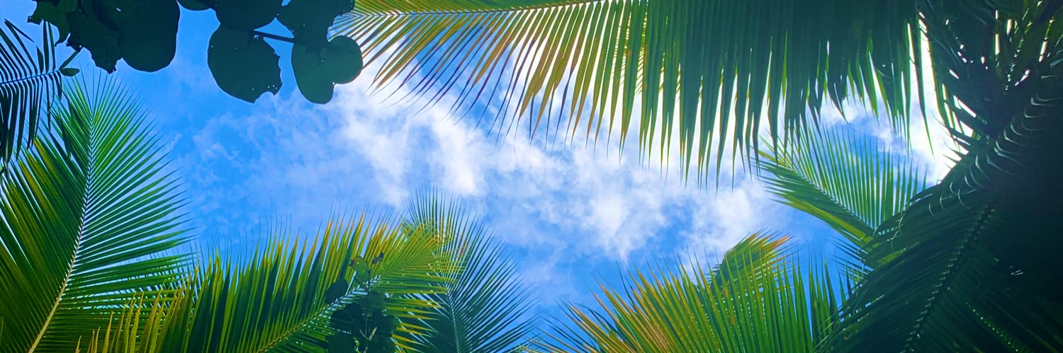 monkeyforsallie's profile banner image