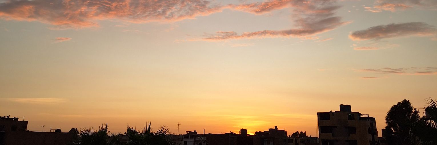 Lechowski Celeste banner