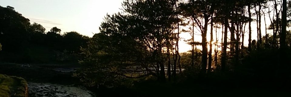 Smurf962's profile banner image