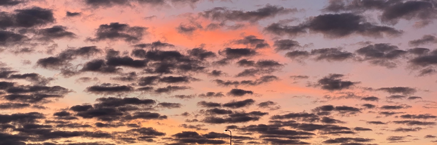 Dylano Jr. de Bro banner