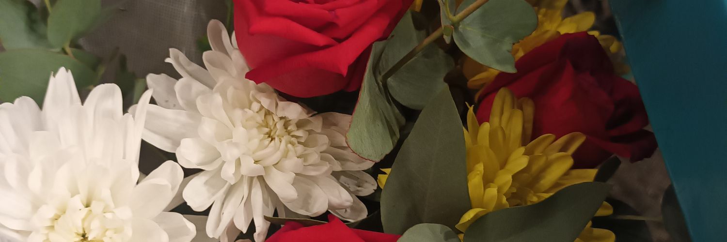 CeciMatta1's profile banner image