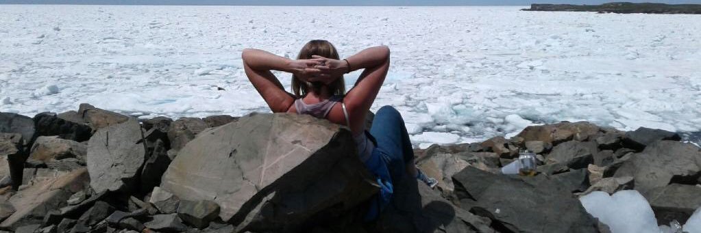 Susan Matthews banner