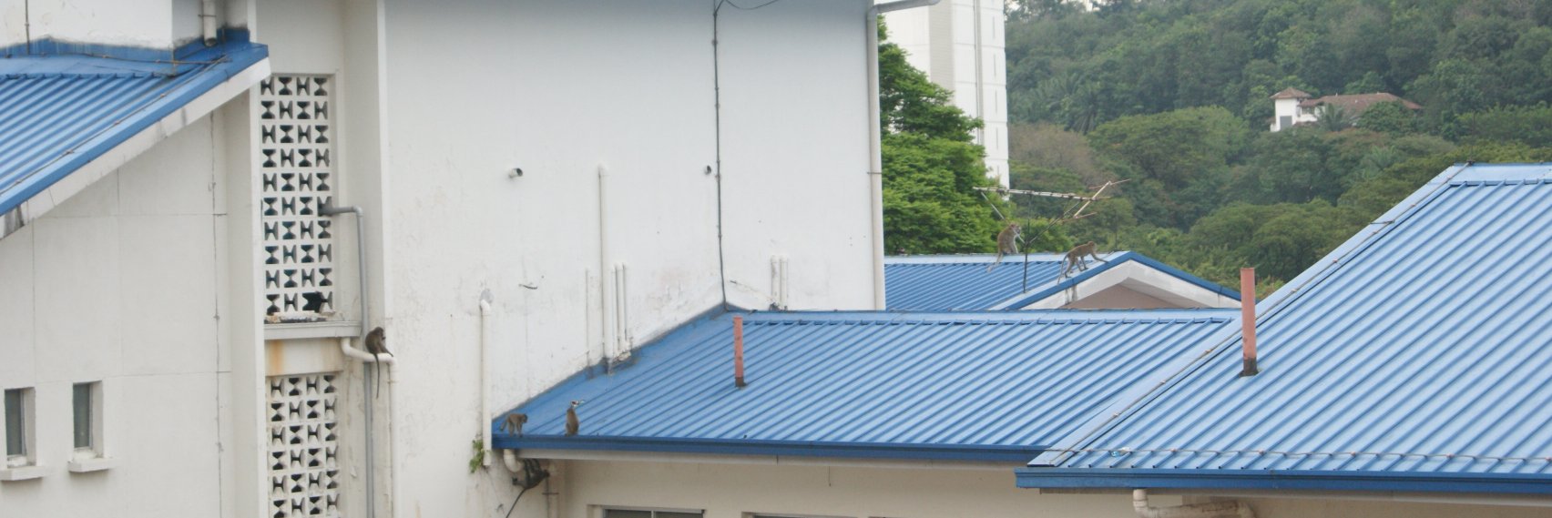 Mandi Sungai banner