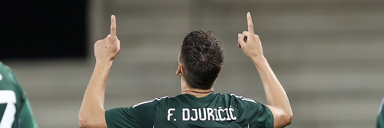 Filip Đuričić's banner