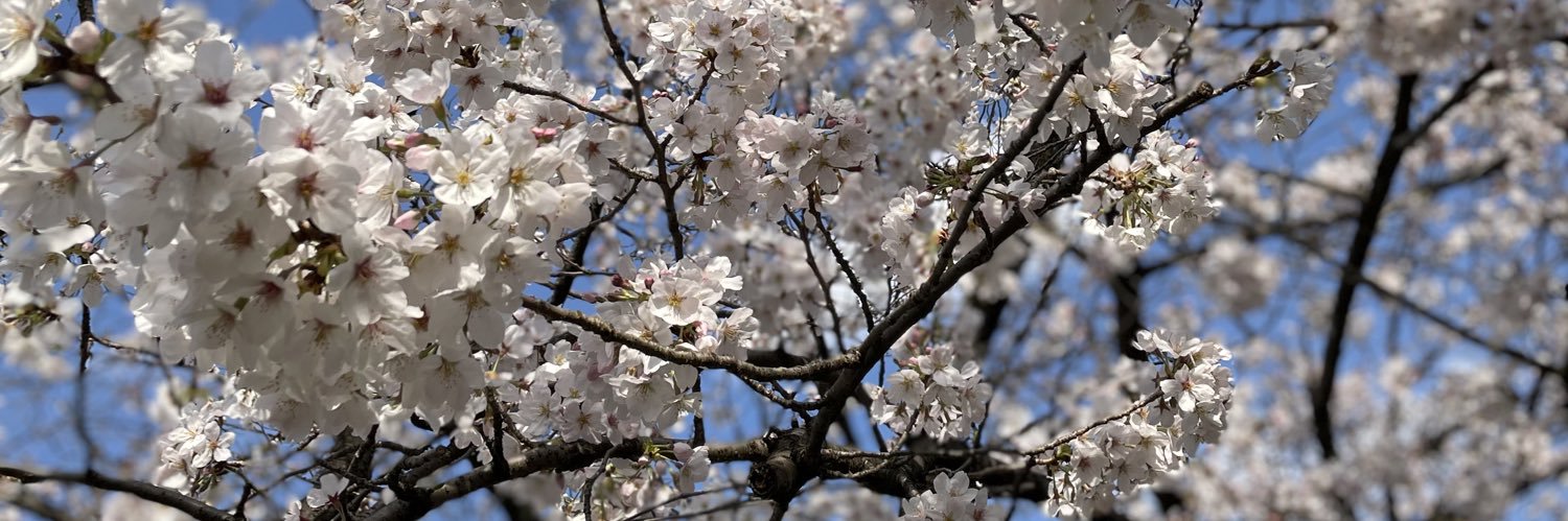 まゆ🎗モル活 banner